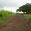 Tekooki in Samoa