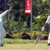 PNG bowling attack against Samoa