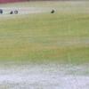 The Bowls having a swim....