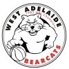 Bearcat Logo