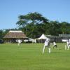 Samoa Gardens Cricket Ovals