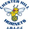 Chester Hill Hornets