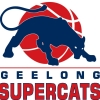 Supercats Logo