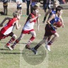 Gavin Little Photography