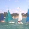 303s in action 20+ knots!