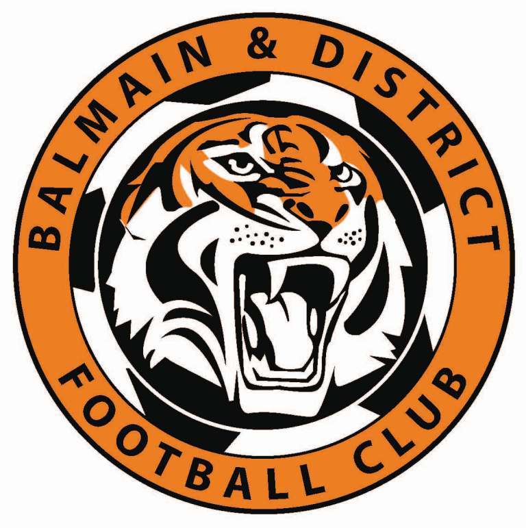 Balmain Inter Lions into State Cup Finals - Canterbury District Soccer ...