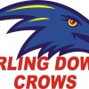 Darling Downs Crows